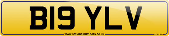 B19 YLV