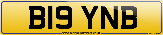 B19 YNB