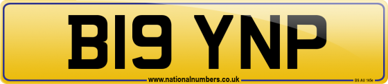 B19 YNP