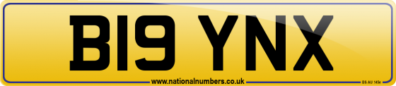 B19 YNX