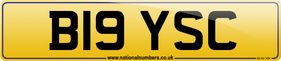 B19 YSC