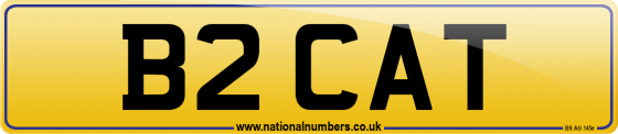 B2 CAT