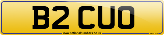 B2 CUO