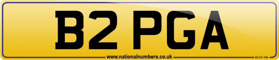 B2 PGA