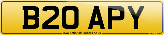 B20 APY