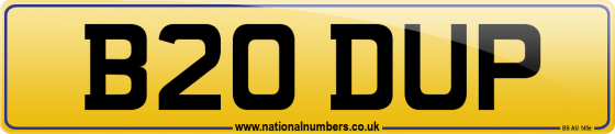 B20 DUP