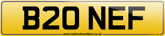B20 NEF