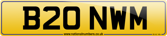 B20 NWM