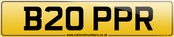 B20 PPR