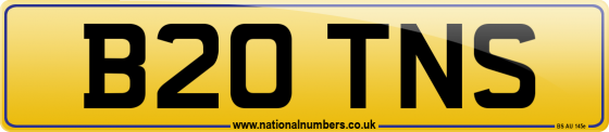 B20 TNS