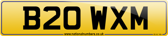 B20 WXM