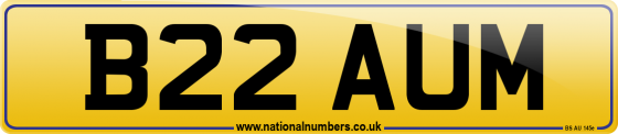 B22 AUM