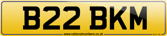 B22 BKM