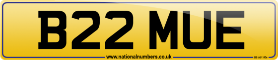 B22 MUE