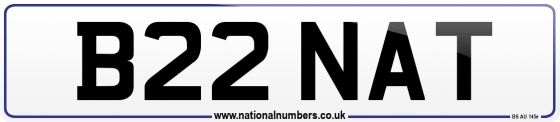 B22 NAT