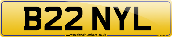 B22 NYL