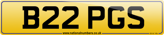 B22 PGS