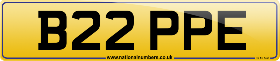 B22 PPE
