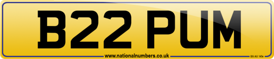 B22 PUM