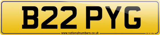 B22 PYG