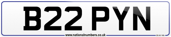 B22 PYN
