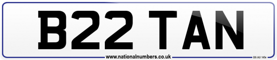 B22 TAN