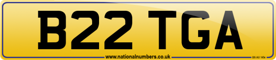 B22 TGA