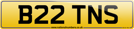 B22 TNS
