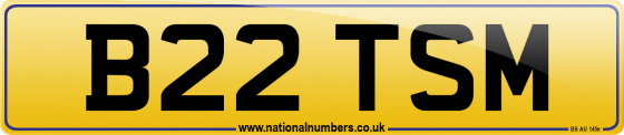 B22 TSM