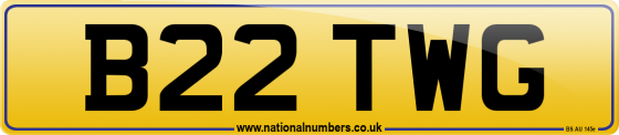 B22 TWG
