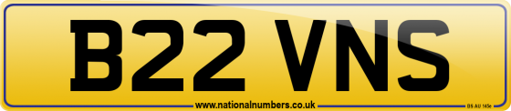 B22 VNS