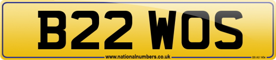 B22 WOS