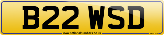 B22 WSD