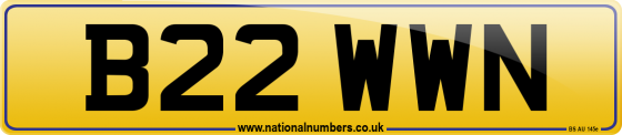 B22 WWN