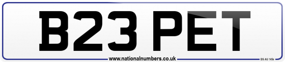 B23 PET