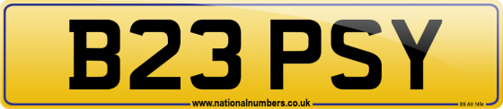 B23 PSY