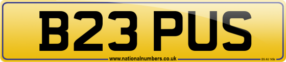 B23 PUS