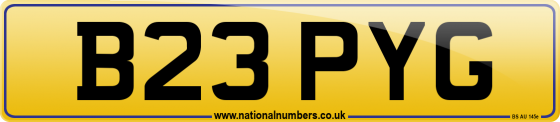 B23 PYG