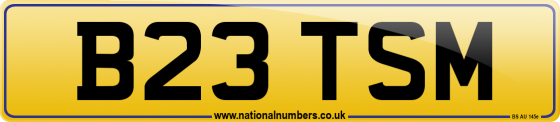 B23 TSM
