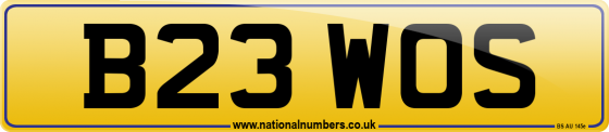 B23 WOS