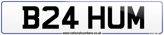 B24 HUM