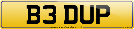 B3 DUP