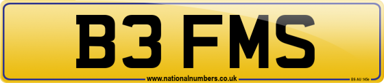 B3 FMS