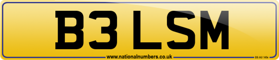 B3 LSM
