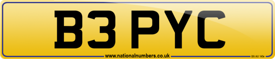 B3 PYC