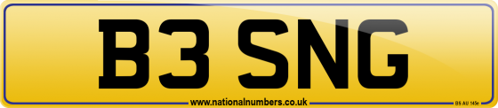 B3 SNG