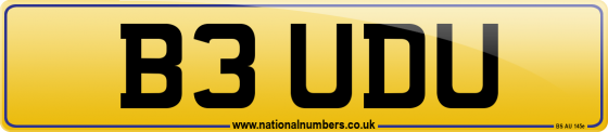B3 UDU