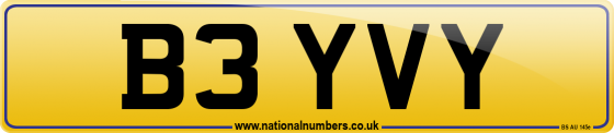 B3 YVY