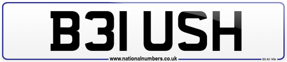 B31 USH