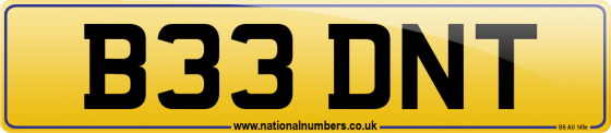 B33 DNT